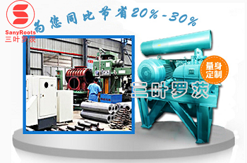 羅茨鼓風(fēng)機