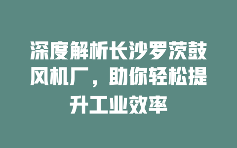 深度解析長(zhǎng)沙羅茨鼓風(fēng)機(jī)廠(chǎng)，助你輕松提升工業(yè)效率 一