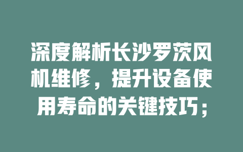 深度解析長(zhǎng)沙羅茨風(fēng)機(jī)維修，提升設(shè)備使用壽命的關(guān)鍵技巧； 一