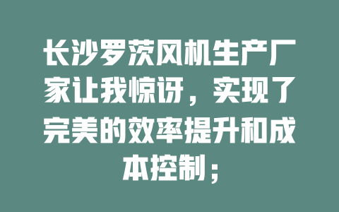 長沙羅茨風(fēng)機生產(chǎn)廠家讓我驚訝，實現(xiàn)了完美的效率提升和成本控制； 一
