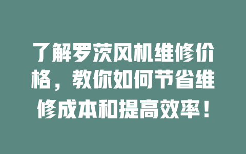 了解羅茨風機維修價格，教你如何節(jié)省維修成本和提高效率！ 一