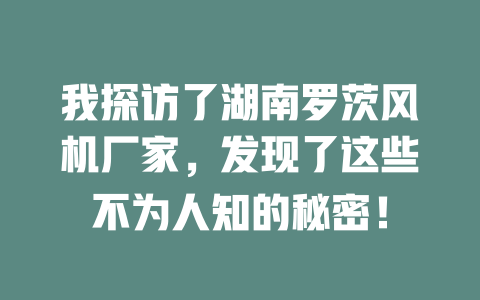 我探訪了湖南羅茨風(fēng)機(jī)廠家，發(fā)現(xiàn)了這些不為人知的秘密！ 一