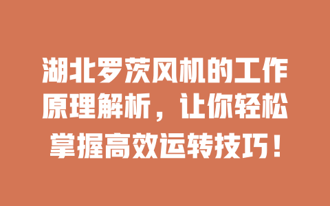 湖北羅茨風(fēng)機(jī)的工作原理解析，讓你輕松掌握高效運(yùn)轉(zhuǎn)技巧！ 一