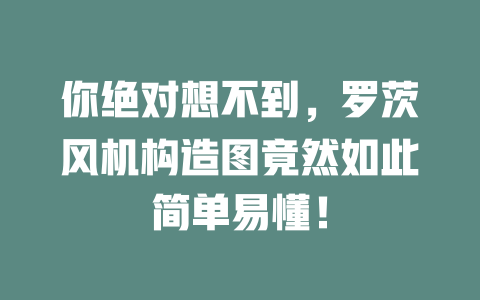 你絕對(duì)想不到，羅茨風(fēng)機(jī)構(gòu)造圖竟然如此簡(jiǎn)單易懂！ 一