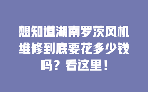 想知道湖南羅茨風(fēng)機(jī)維修到底要花多少錢嗎？看這里！ 一